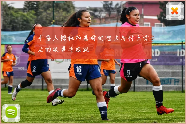 半兽人揭秘约基奇的潜力与付出背后的故事与成就