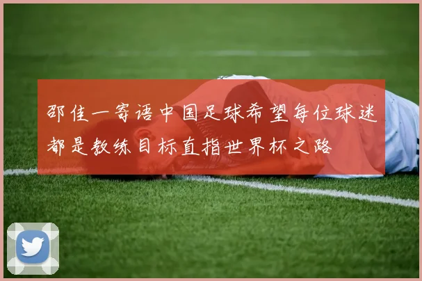 邵佳一寄语中国足球希望每位球迷都是教练目标直指世界杯之路